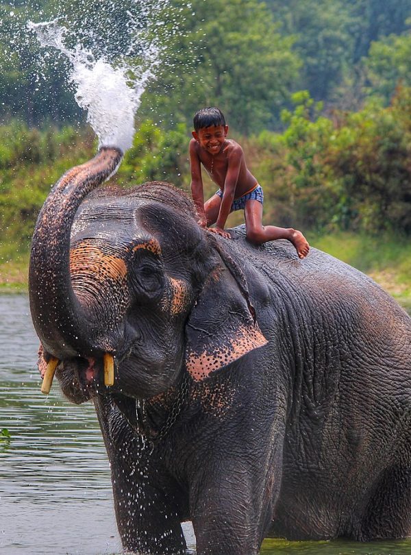 Chitwan National Park